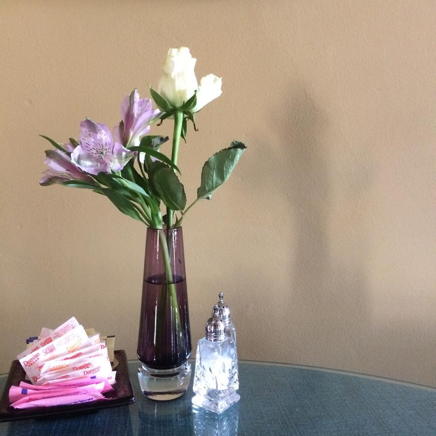 Amethyst Inn Adamstown 外观 照片